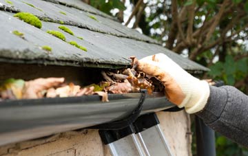 gutter cleaning Freeby, Leicestershire