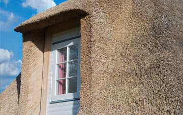 Freeby thatch roof disadvantages