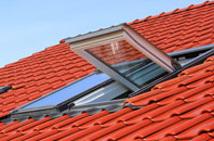 Freeby roof window